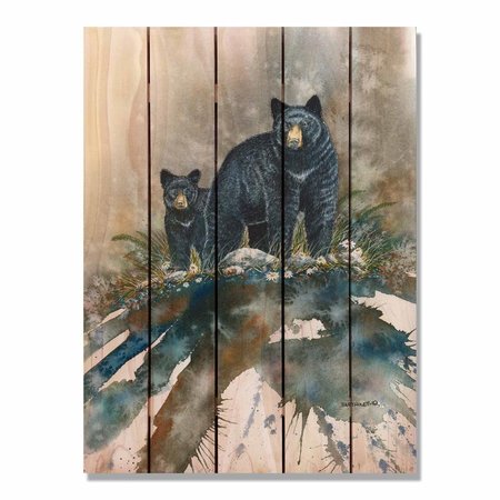 RICKI&APOSS RUGS 28 x 36 in. Bartholets Stepping Out Inside & Outside Cedar Wall Art RI890960